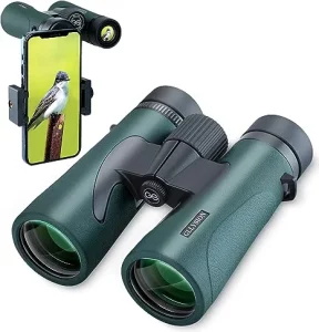 Best Binoculars for Hunting 